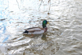 62_photo14